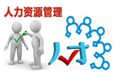 人力資源管理專業(yè)與人力資源服務 從理論到實踐的全面解析